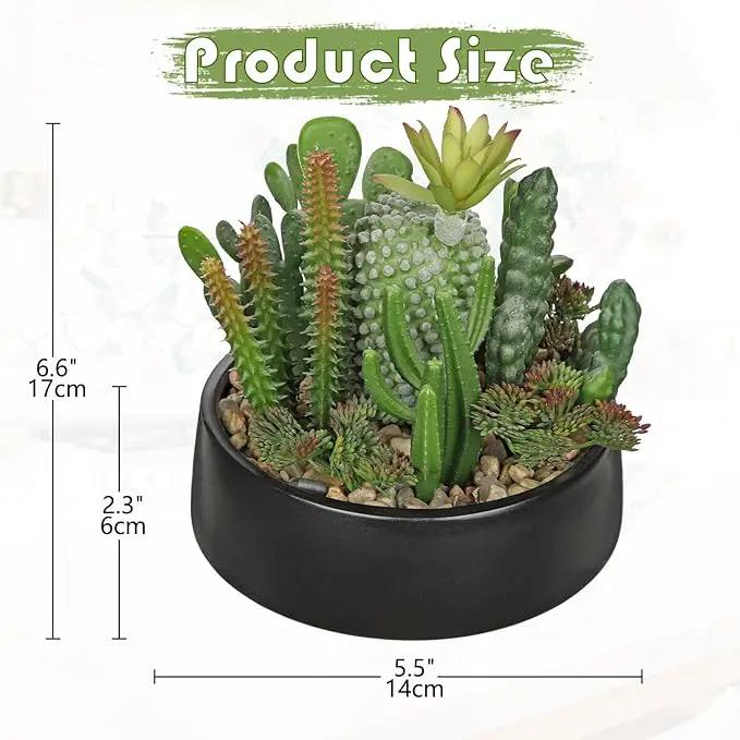 DILATATA Artificial Cactus Plants in Pot 5.5 Inch Fake Succulents Arrangement Potted Plant in Black Ceramic Planter Bowl for Home Office Desk Shelf Living Room Bedroom Bathroom Decor by GreenHaven Gardens