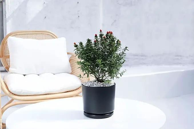Ekirlin 7 inch Plant Pots,Ceramic Flower Planters Indoor,Modern Succulents Containers with Drain Hole Saucer,Decorate Home,Office & Outdoor (Black) by GreenHaven Gardens