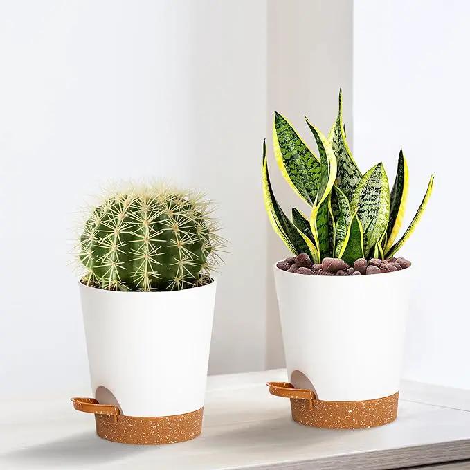 4 inch Small Plant Pots for Outdoor Indoor Plants, 5 Pack Planters with Drainage Holes and Tray, Small Self Watering Pots for Succulent,Cactus, Aloe and Other Plants (White) by GreenHaven Gardens