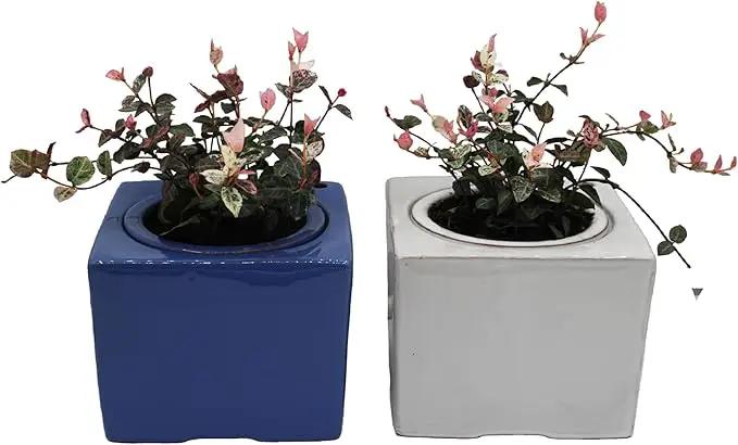 2-Pack Ceramic African Violet Self Watering Pot 6 Inch Square Pot 3.5 Inch Innter Pot Easy Fill Water Reservoir White Blue by GreenHaven Gardens