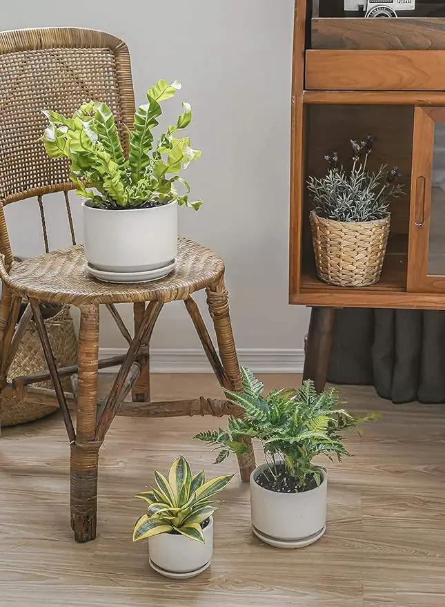 LE TAUCI Ceramic Plant Pots, 4.3+5.3+6.8 inch, Set of 3, Planters with Drainage Hole and Saucer, Indoor Flower Pot with Hole Mesh Pad, Gifts for Mom, White by GreenHaven Gardens