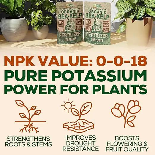 Organic Sea Kelp Fertilizer for Plants – Water-Soluble – Makes 100 Gallons – Kelp Meal Concentrate Plant Food – for Indoor Gardens, Hydroponics, Vegetables, Houseplants - Smart Grower - 4oz Bag by GreenHaven Gardens