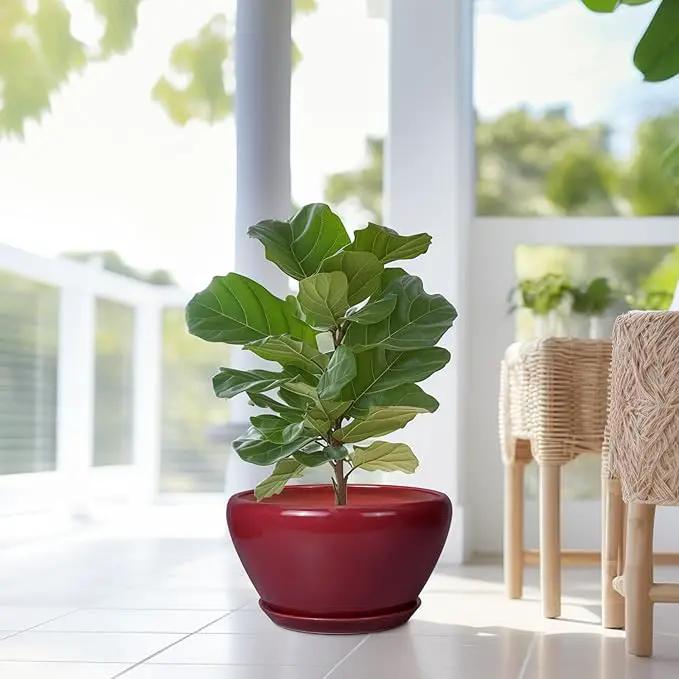 Ceramic Planter - Indoor Plant Pot with Drainage Hole and Saucer 13 Inch Large Pots for Plants Round Modern Outdoor Flower Pot Mid-Century Patio Room Decor Red by GreenHaven Gardens