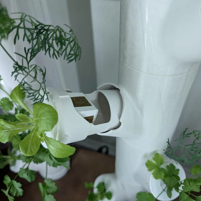 Grow Cubes for Hydroponic System/Compatible with Gardyn (20 Cubes+Rockwool) by GreenHaven Gardens