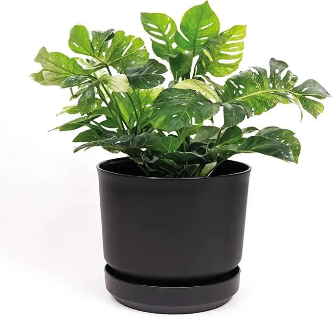 Elly Décor 12 inch Plastic Cylinder Planter Pot with Self-Watering Saucer and Drainage Hole,Lightweight & Extremely Durable, 12"x 12", Black by GreenHaven Gardens