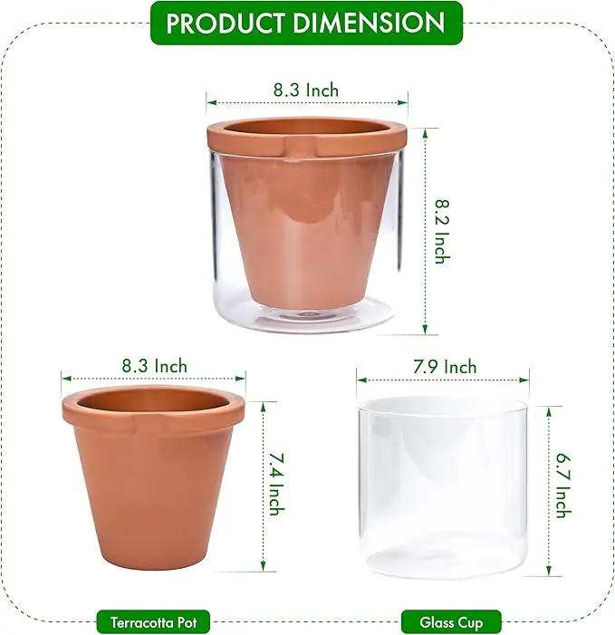 D'vine Dev 8 Inch Design Self Watering Pot for Indoor Plants, Terracotta Planter with Cylinder Glass Cup, Set of 1, 37-X-C-1 by GreenHaven Gardens