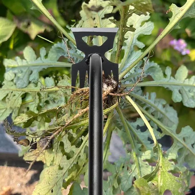 Gardening Hand Weeder Tools, Weeding Artifact Uprooting Weeding Tool, Durable Manganese Steel Hand Weeder Tool, Manual Multifunctional Weeders Gardening Tools for Yard and Garden (6 Teethes), 2 Pack by GreenHaven Gardens