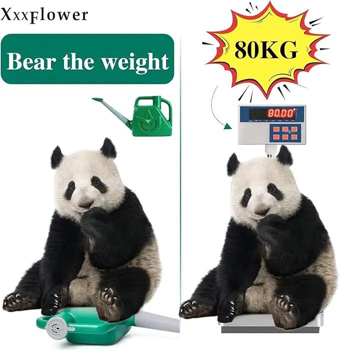 XXXFLOWER 1.5 Gallon Green Watering Can Outdoor Garden Flower Plant, Lightweight 6 L Water Cans with Detachable Nozzle Watering Pot for Office House Garden by GreenHaven Gardens