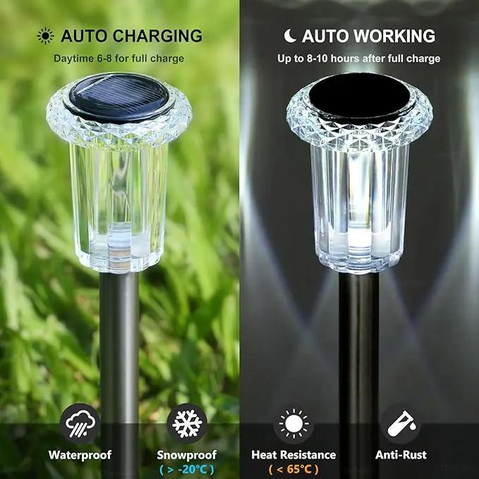 DenicMic Solar Lights Outdoor Pathway Lights 6000K LED Waterproof Acrylic Lamp Head Stainless Steel Stake for Yard Garden Landscape Path Walkway Driveway Patio Lawn (Cold White 10Pack) by GreenHaven Gardens