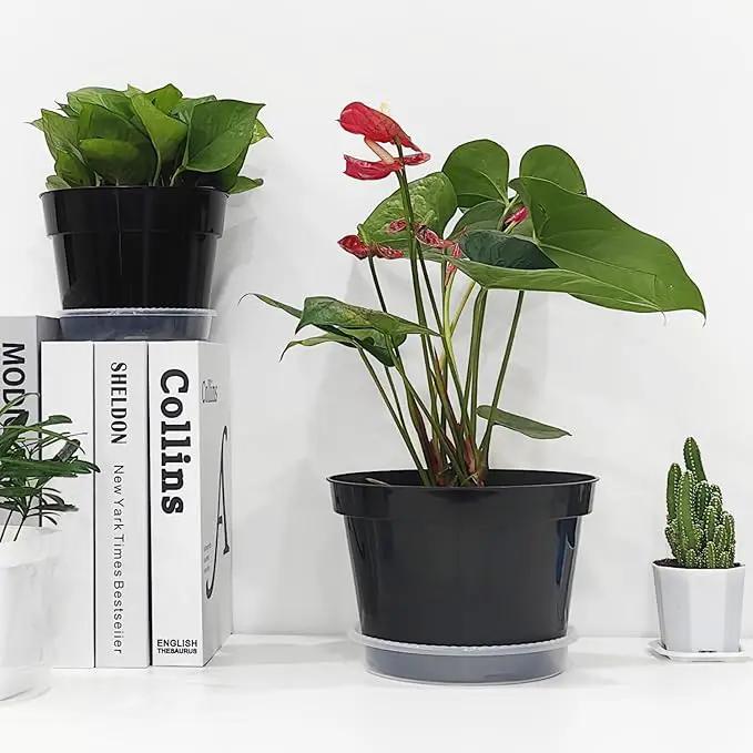12 Pack Plant Pots, 8 Inch Plant Planter with Clear Saucer, Plastic Pots for Plants Indoor and Out Door Such as Strawberry, Herb and Flowers (Black) by GreenHaven Gardens
