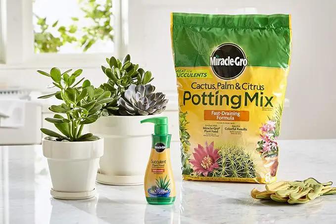 Miracle-Gro Cactus, Palm & Citrus Potting Mix and Succulent Plant Food - Bundle of Potting Soil (8 qt.) and Liquid Plant Food (8 oz.) for Growing and Fertilizing Indoor Succulents by GreenHaven Gardens
