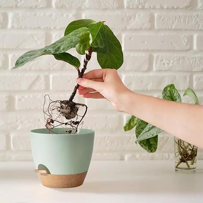 Self Watering Plant Pot with Drainage Hole,Plant Pots Outdoor Flower Pots for Indoor Plants,Modern Green Plastic Self Watering Planters Succulent Pot 7pcs/Set by GreenHaven Gardens