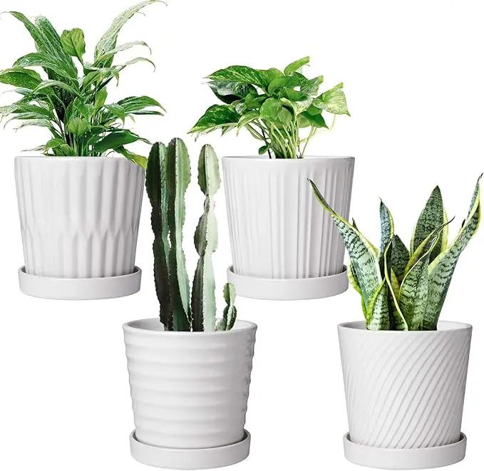 Brajttt Flower Pots,6 Inch Succulent Pots with Drinage,Indoor Round Planter Pots with Saucer,White Cactus Planters with Hole,Outdoor Graden Pots 4 Pack by GreenHaven Gardens