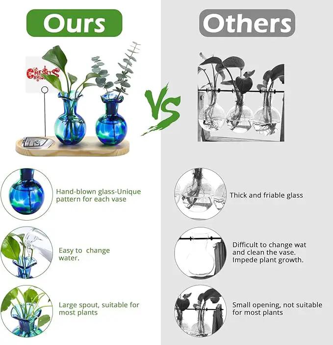 Hand Blown Glass Plant Propagation Stations Plant Terrarium Wooden Stand for Hydroponic Plants Combine Jewelry Tray and Photo Holder Office Home Garden Decor - 2 Bulb Glass Vases by GreenHaven Gardens