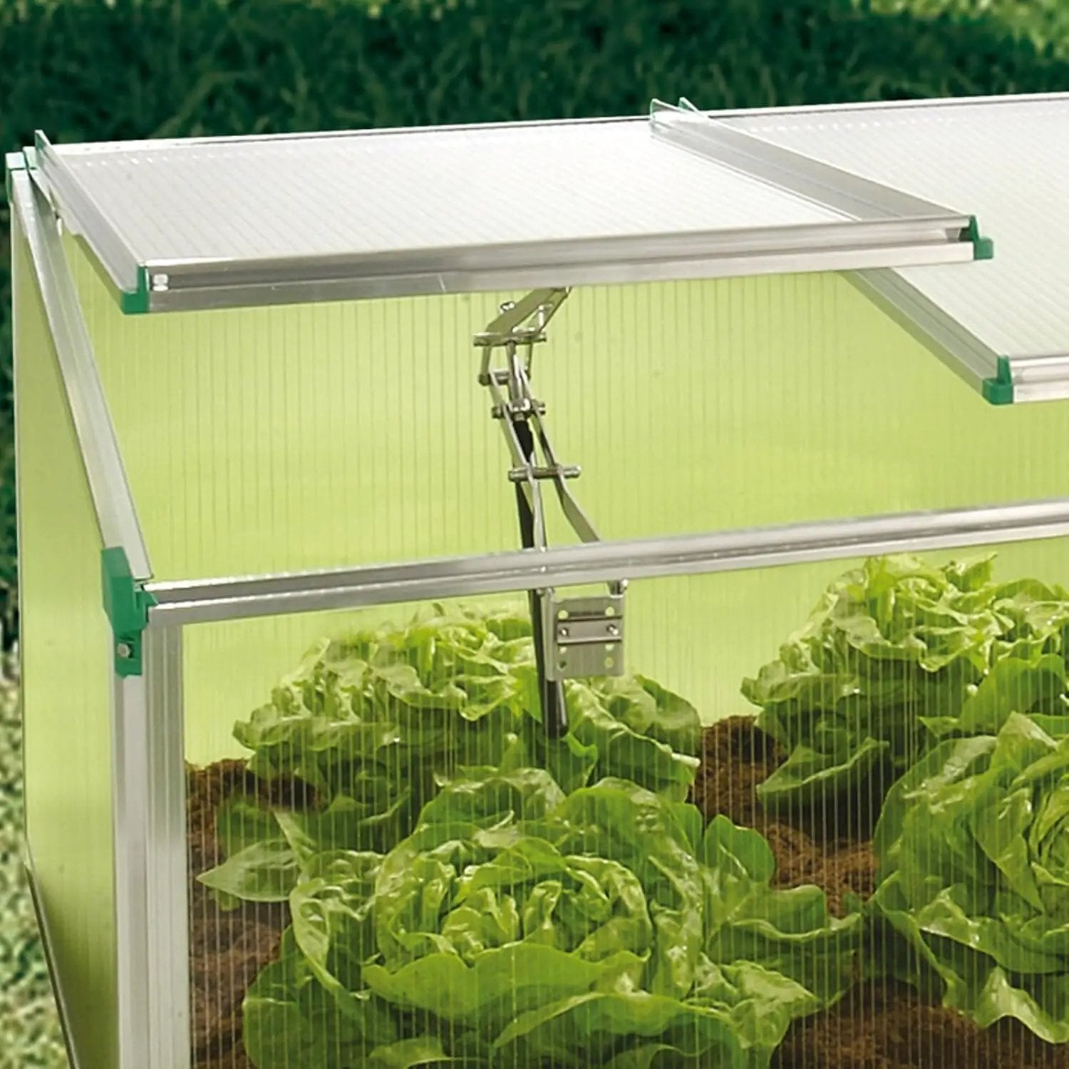 Victorian Cold Frame Gardening Kit - Metal Frame, 3 Windows, 59x32x4 Inches 142 by GreenHaven Gardens