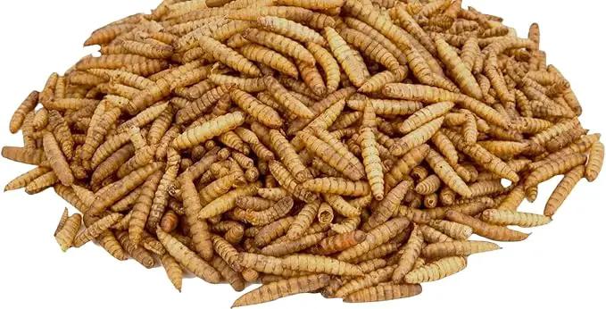 Dried Black Soldier Fly Larvae, 100% Natural, Non-GMO, High-Protein Treats for Chickens, Layer Hens, Wild Birds, Ducks, 13.3 oz, Pack of 4 by GreenHaven Gardens