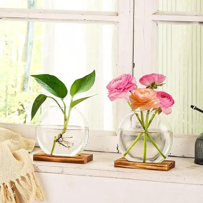 4 Pack Plant Propagation Station with Wooden Base Glass Terrariums for Indoor Plants Decorative Round Vases for Flowers Hydroponic Planter for Home Office Decor by GreenHaven Gardens