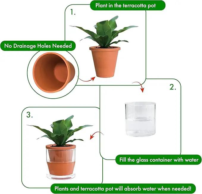 D'vine Dev 4 Inch Design Self Watering Pot for Indoor Plants, Terracotta Planter with Cylinder Glass Cup, 37-X-A-1 by GreenHaven Gardens