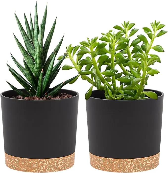 QCQHDU 5 inch Plant Pot, 2 Pack Planters for Indoor Plants with Drainage Holes & Saucer, Outdoor Flower Pots Home Garden Modern Decor by GreenHaven Gardens