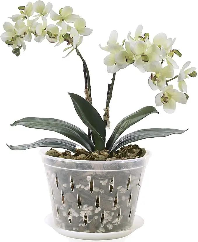 Orchid Pot, 8 Inch 4 Pack Orchid Pots with Holes and Saucers, Clear Plastic Orchid Pots by GreenHaven Gardens