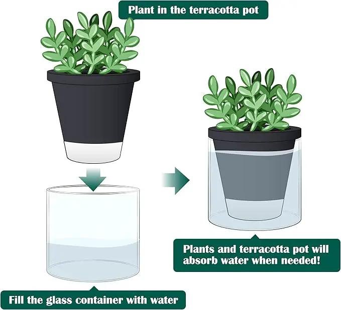 D'vine Dev 4 Inch Design Self Watering Planter for Indoor Plants, Black Terracotta Pot with Cylinder Glass Cup, 37-X-A-3 by GreenHaven Gardens