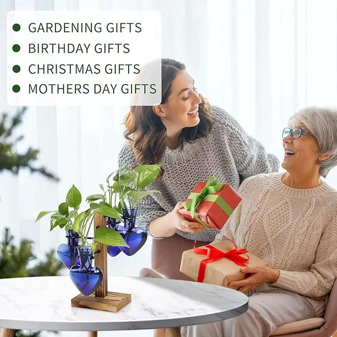 Plants Propagation Stations Plant Terrarium Kit Glass Planters for Indoor Plants House Plant Accessories Gift for Women - 4 Love Vase by GreenHaven Gardens