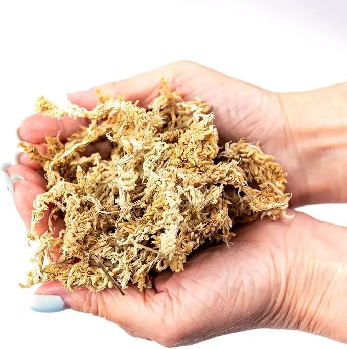Premium Grade Sphagnum Moss by Gardenera - 10 Quart - Organic Hand Mixed New Zealand Long Fibered Sphagnum Moss Orchid - 2 Bags of 5 Quart by GreenHaven Gardens
