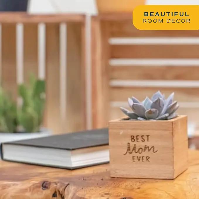 Costa Farms Echeveria, Mini Succulent Plant in Best Mom Ever Wood Decor Planter, Live Indoor Houseplant in Cute Cactus Decor, Great Mother's Day Gift