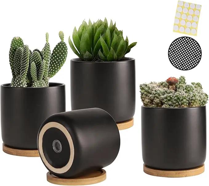 OMAYKEY 4 Inch Ceramic Plant Pot with Saucer, Black Planters Pots with Drainage Hole and Mesh Pads for Succulent, Snake, Cactus, Herbs - 4 Packs(Plant Not Included) by GreenHaven Gardens