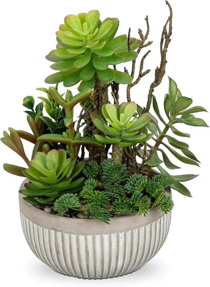 DILATATA Small Faux Plant Assorted Fake Succulents Plants Faux Succulents Arrangement Cement Potted Desk Plants Small Fake Plants for Home Table Office Bathroom Shelf Living Room Decor by GreenHaven Gardens