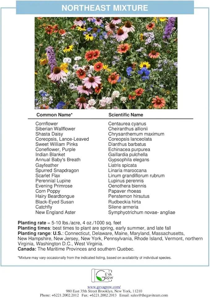 on The Go Regional Wildflower Seed Shaker - Northeast USA Wildflowers - 100% Pure Seed - Organic, Non-GMO - 21 Wildflower Variety Seeds of Annual & Perennial, 2oz by GreenHaven Gardens