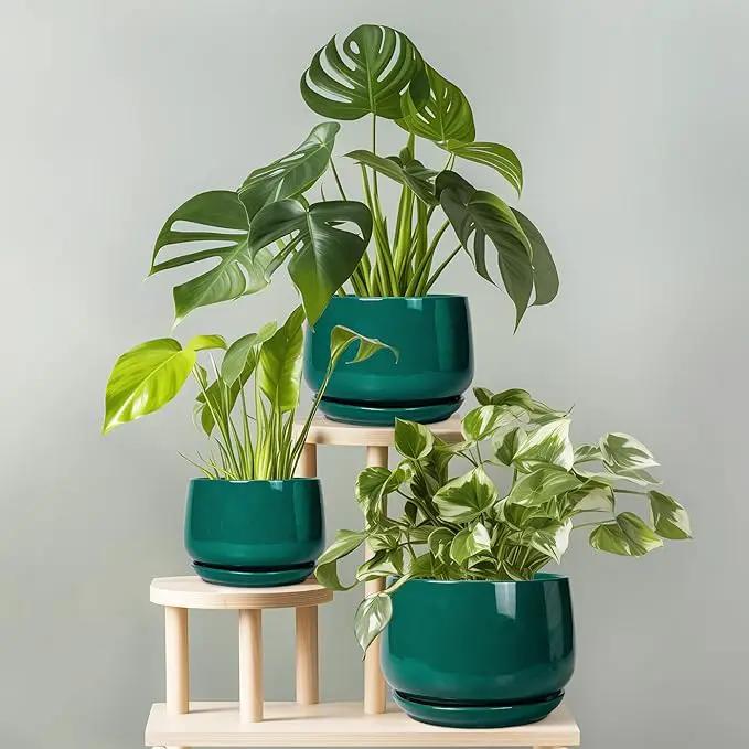 G EPGardening Ceramic Pots for Plants - 9 Inch Ceramic Planter for Indoor Plants, Round Planter with Drainage and Saucer, Modern Flower Pots for Outdoor, House Decor, Garden Gifts, Green by GreenHaven Gardens
