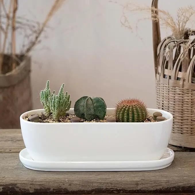 Ceramic Plant Pots, 11+14 inch, Set of 2, Planters with Drainage Holes Saucers and Mesh Pads, Indoor Flower Succulent Pot with Hole Mesh Pad, Gifts for Mom, Plants Not Included by GreenHaven Gardens