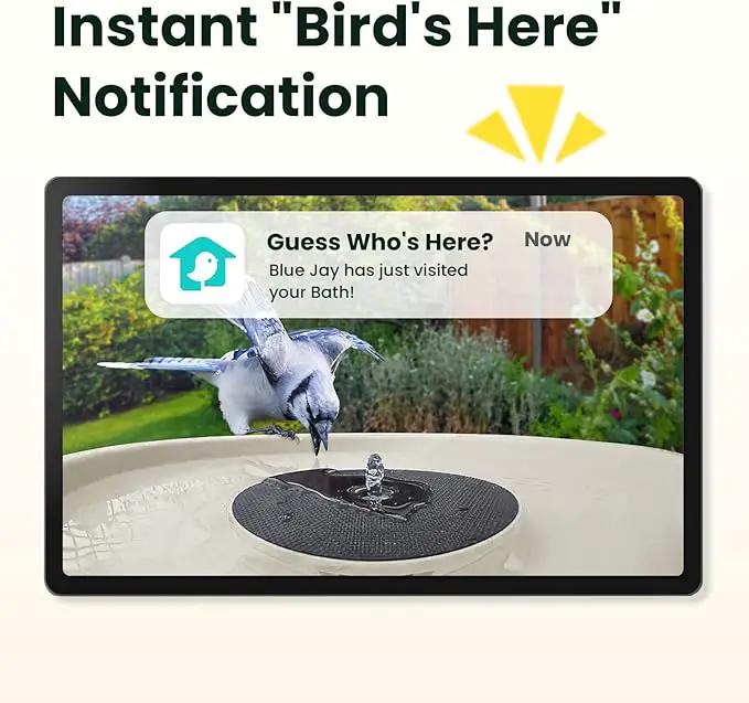 Birdfy Smart Bird Bath with Camera Solar Powered & Fountain, Dual-Lens Camera for Wildbird Watching, Auto Capture Bird Videos & Motion Detection - AI Lifetime Version (Yellowstone) by GreenHaven Gardens