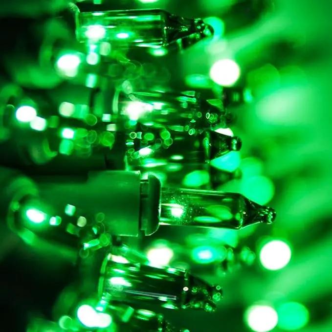 TW SHINE Green St. Patrick's Day Lights, 2 Pack Total 40FT 200 Count Incandescent Christmas Mini String Lights, Waterproof Decorations for Outdoor Indoor Xmas Tree Patio Home Party Yard Decor by GreenHaven Gardens