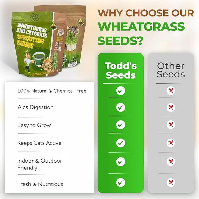 Todd’s Seeds – Cat Grass for Indoor Cats, 1lb Wheatgrass – Premium, Non-GMO, Pet-Safe & Easy to Grow – No Fillers, 100% Chemical-Free by GreenHaven Gardens