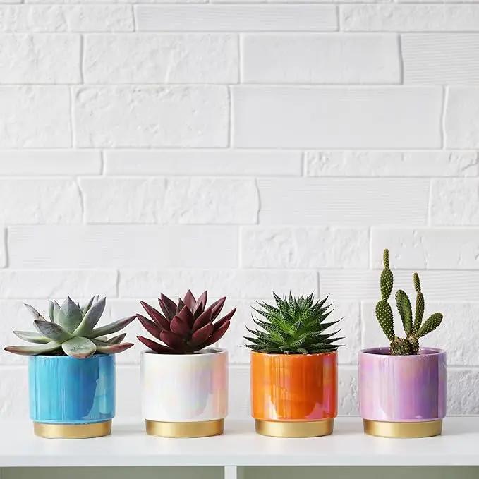 Gepege Succulent Pots for Plants, Succulent Planter with Drainage Holes, Ceramic Pot for Indoor Plant, Set of 4 by GreenHaven Gardens