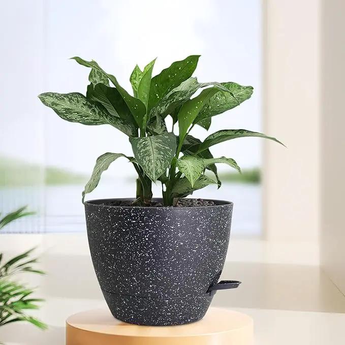 12 inch Large Self Watering Pots for Indoor Outdoor Plants, Flower Plant Pots with Mesh Drainage Holes for Garden House Plants, Plastic Planters with Reservoir for Home Decor, Speckled Black by GreenHaven Gardens