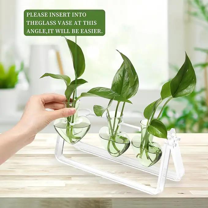 Plant Terrarium Propagation Stations with Wooden Stand Birthday Gifts for Women Plant Stand Indoor Office Home Decor by GreenHaven Gardens