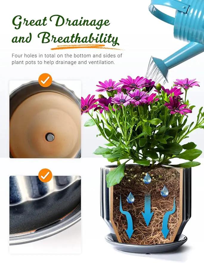 AISBUGUR Plant Pots 6 inch Ceramic Pots for Indoor Plants Set of 2 Flower Pots Unique Crackle Glaze Design Plant Pots with Drainage Hole and Saucer Come with Drainage Nets (Grey) by GreenHaven Gardens