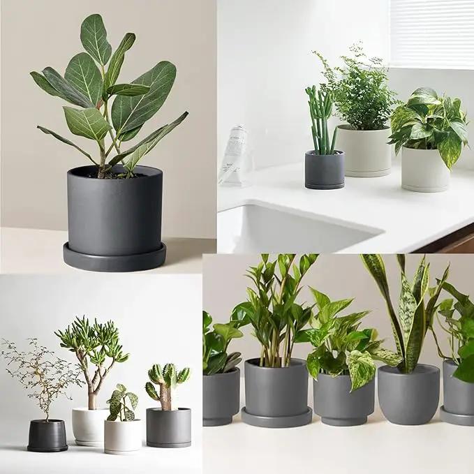 Ceramic Plant Saucer Pot Tray 12 Inch, Planter Saucers 4 5 6 7 8 9 10 11 12 13 Inch for Indoors Outdoor, Durable Sturdy Flower Drainage drip Water Tray for Glazed Pots Base (12.7 Inch-Grey) by GreenHaven Gardens
