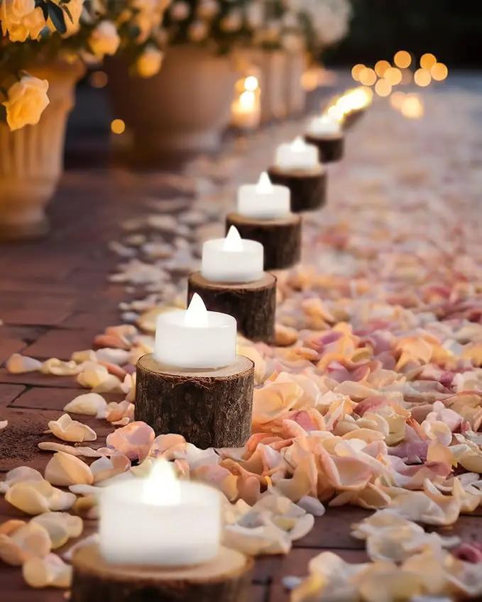 BEICHI Flameless Candles, 24Pack Battery Operated Candles, LED Tea Lights Candles Battery Operated, Flickering Fake Candles for Wedding Halloween Christmas Diwali- Pure White Light by GreenHaven Gardens