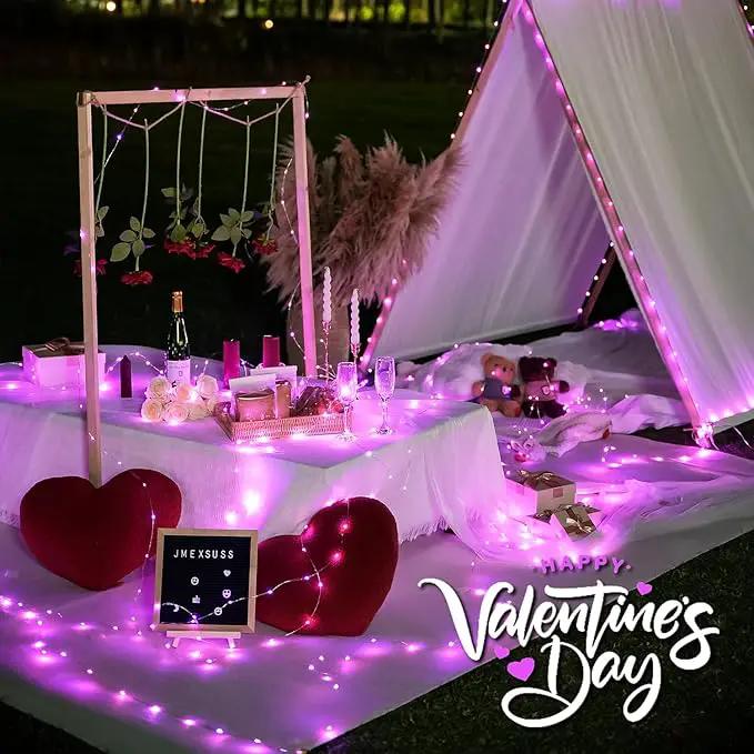 JMEXSUSS 2 Pack Solar Fairy Lights, 33ft 100 LED Pink Outdoor Waterproof, 8 Modes String Lights for Outside Garden Patio Party Decorations by GreenHaven Gardens
