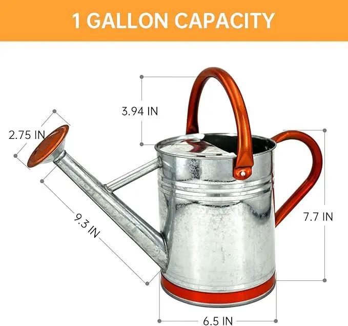 Metal Watering Can for Outdoor Plants, Galvanized Steel Watering Can with Removable spout, 1 Gallon,Perfect Home & Garden Décor Retro Zinc Hue by GreenHaven Gardens