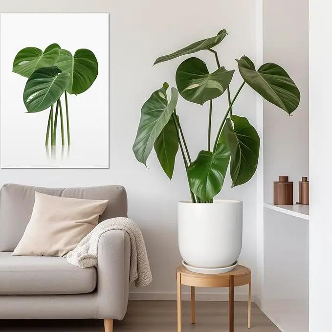 Plant Pot 12 inch - Ceramic Pot for Plants Indoor Outdoor Large Planter Pot with Drainage Hole and Saucer Mid-Century Modern Flower Pot Cylinder White by GreenHaven Gardens
