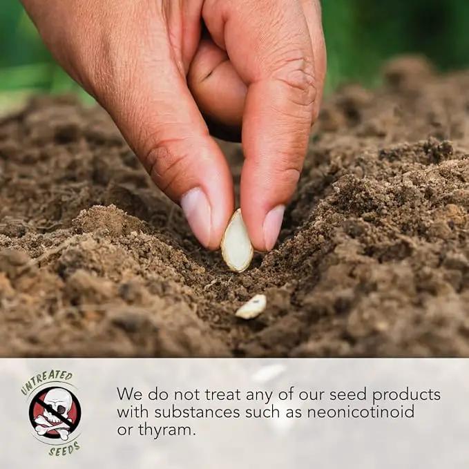 Seed Needs, Italian Herb Seed Packet Collection (5 Individual Seed Varieties for Planting) Non-GMO & Untreated - Oregano, Basil, Rosemary, Sage and Parsley by GreenHaven Gardens
