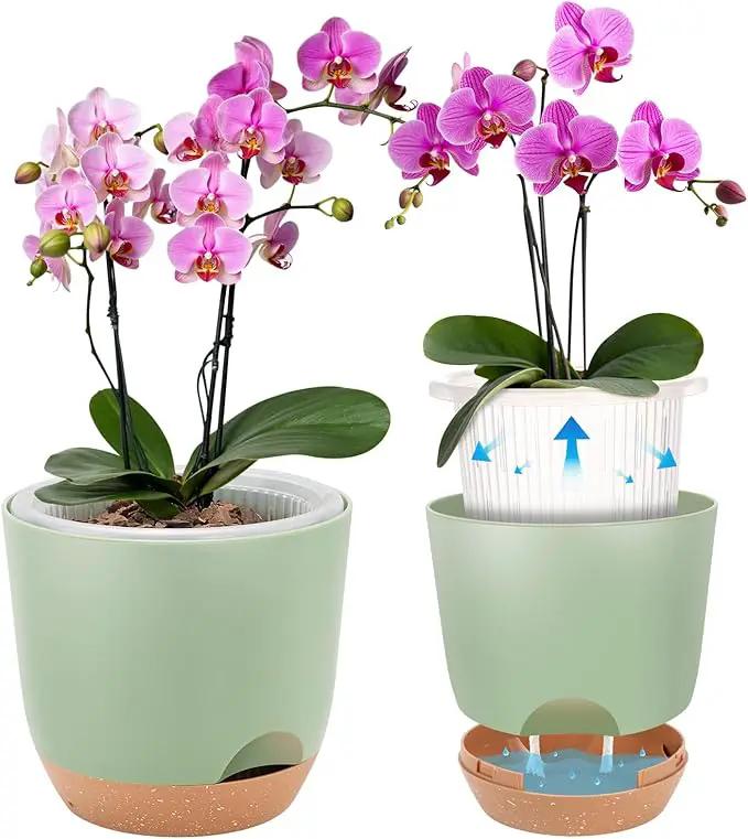 Self Watering Orchid Pots for Indoor Plants,5.8 Inch Macetas para Orqudeas,Flower Pots for Indoor Plants with Holes(Green) by GreenHaven Gardens