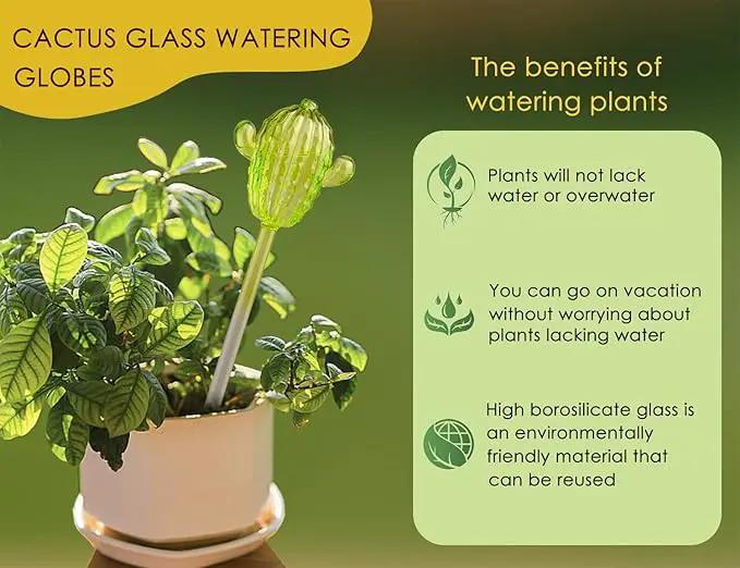 Ahhute Plant Watering Globes, Cactus Self Watering Globes, Glass Self Watering Planter Insert, Cacti Plant Watering Devices, Automatic Plant Waterer Indoor, Watering Bulbs, 2 Pack by GreenHaven Gardens