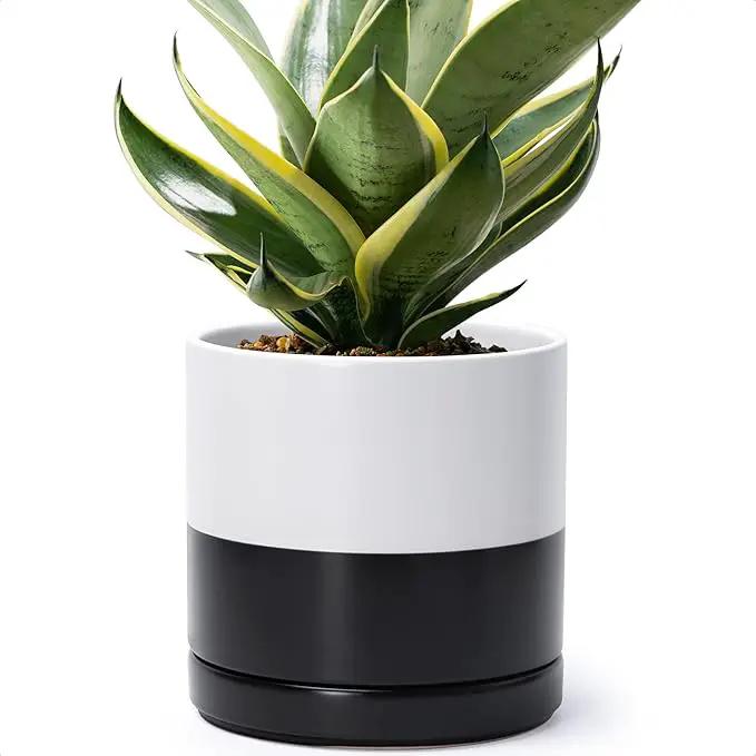 D'vine Dev 8.2 Inch Ceramic Planter Pot with Drainage Hole and Saucer, Indoor Cylinder Round Planter Pot, Layered Monochrome Black & White, 94-O-D-L by GreenHaven Gardens