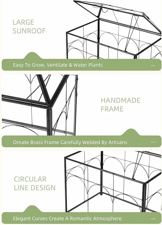 Handmade Glass Planter Terrarium with Lid, Indoor Tabletop Centerpiece Display Box Modern Decor DIY Gift Plant Terrarium Container for Succulent Cacti Air Plants Flower (Black) by GreenHaven Gardens